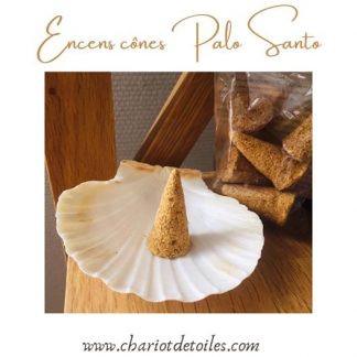 encens cônes palo santo