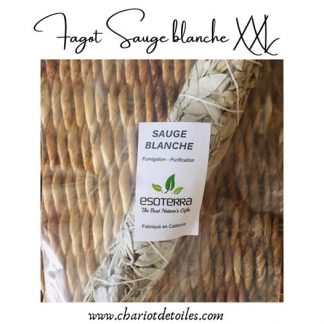 fagot sauge blanche XXL