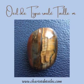 oeil de tigre taille m