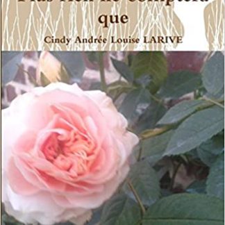 plus rien ne comptera que