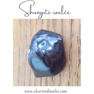 Shungite roulée Taille M